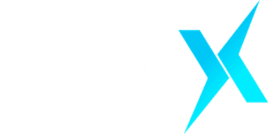 VegaX Holdings
